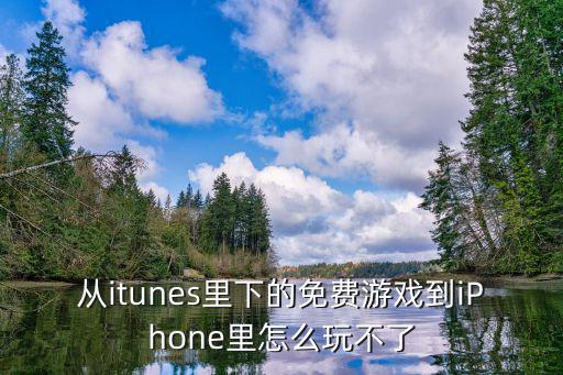 从itunes里下的免费游戏到iPhone里怎么玩不了