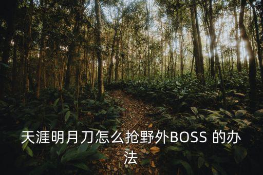 天涯明月刀怎么抢野外BOSS 的办法