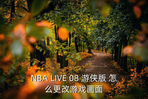 NBA LIVE 08 游侠版 怎么更改游戏画面