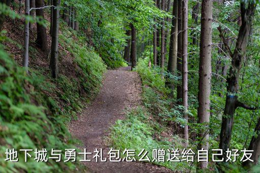 地下城与勇士礼包怎么赠送给自己好友