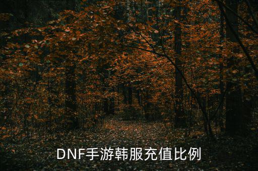 DNF手游韩服充值比例