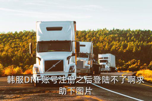 韩服DNF账号注册之后登陆不了啊求助下图片