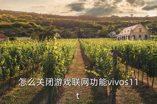 怎么关闭游戏联网功能vivos11t