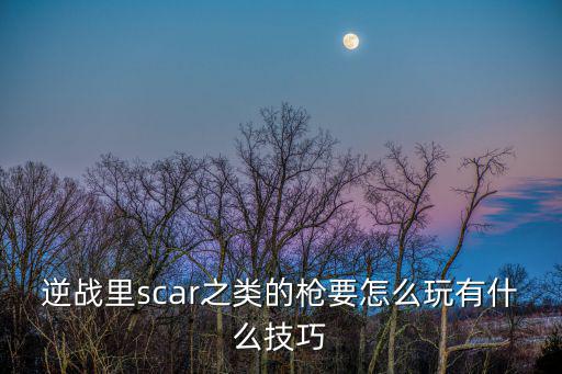 逆战里scar之类的枪要怎么玩有什么技巧