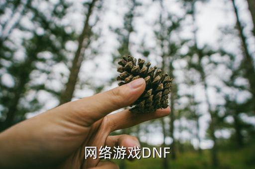 网络游戏DNF