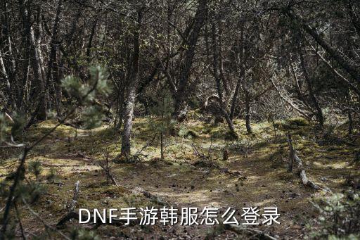 DNF手游韩服怎么登录