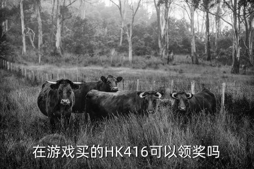 在游戏买的HK416可以领奖吗