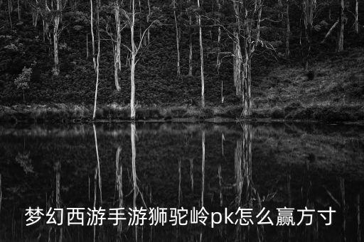 梦幻西游手游狮驼岭pk怎么赢方寸