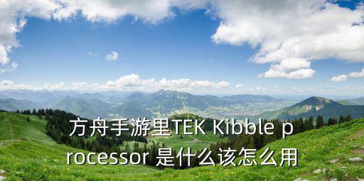 方舟手游房子里火把怎么装上，方舟手游里TEK Kibble processor 是什么该怎么用