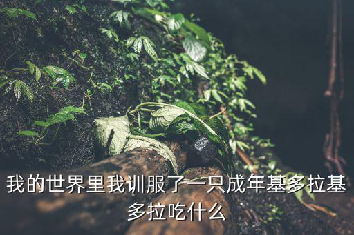 我的世界里我训服了一只成年基多拉基多拉吃什么