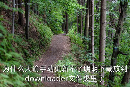 为什么天谕手动更新不了明明下载放到downloader文件夹里了