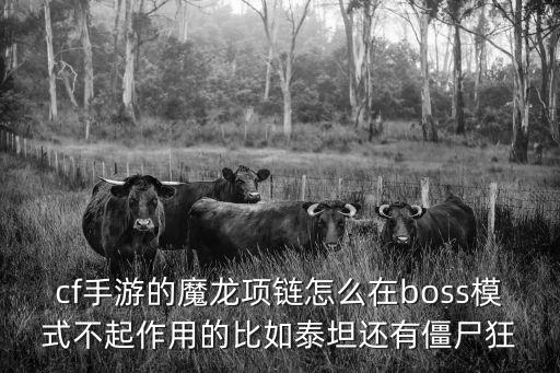 cf手游的魔龙项链怎么在boss模式不起作用的比如泰坦还有僵尸狂