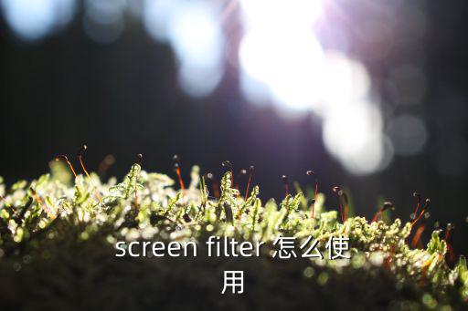 screen filter 怎么使用