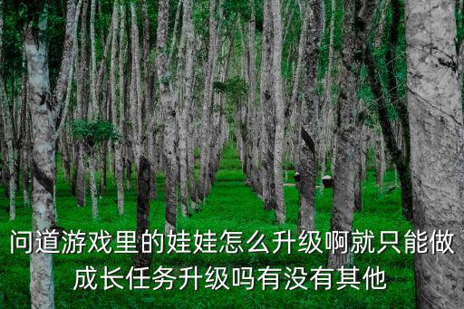 问道游戏里的娃娃怎么升级啊就只能做成长任务升级吗有没有其他