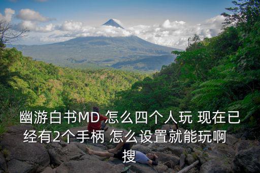 幽游白书MD 怎么四个人玩 现在已经有2个手柄 怎么设置就能玩啊  搜