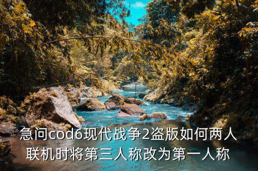 急问cod6现代战争2盗版如何两人联机时将第三人称改为第一人称