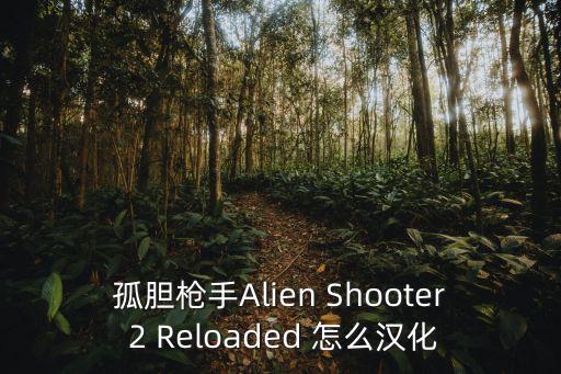 孤胆枪手Alien Shooter 2 Reloaded 怎么汉化