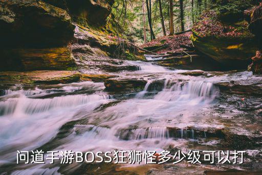 问道手游BOSS狂狮怪多少级可以打