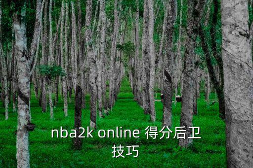 nba2k online 得分后卫技巧