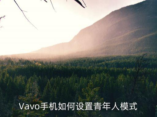 Vavo手机如何设置青年人模式