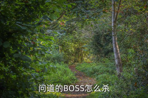 手游问道的boss怎么杀，问道BOSS怎么杀