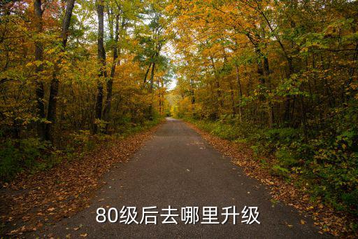 80级后去哪里升级