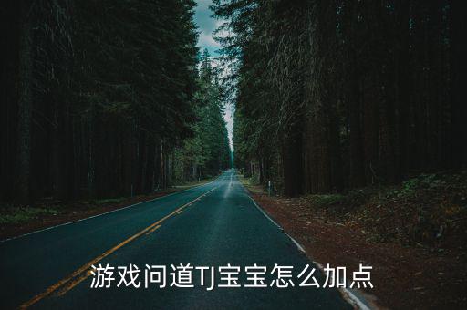 游戏问道TJ宝宝怎么加点