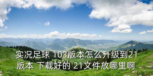 实况足球 103版本怎么升级到21版本 下载好的 21文件放哪里啊