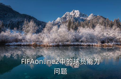 FIFAonline2中的球员能力问题