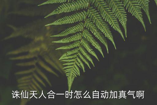 诛仙天人合一时怎么自动加真气啊