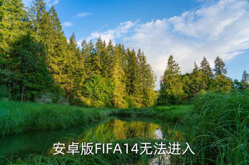 安卓版FIFA14无法进入