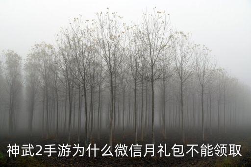 神武2手游为什么微信月礼包不能领取