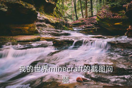 我的世界minecraft的截图问题