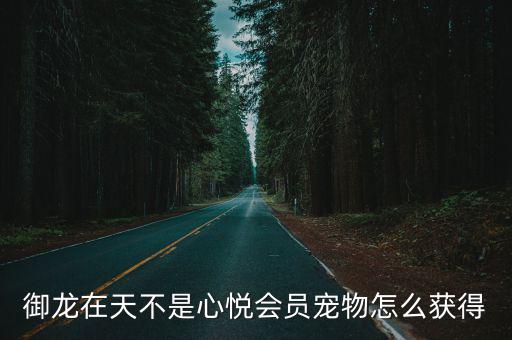 御龙在天不是心悦会员宠物怎么获得