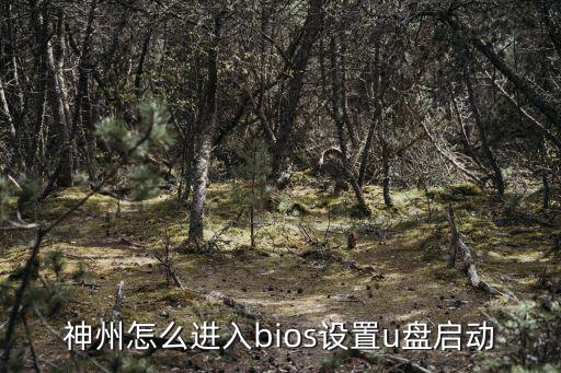 神舟手游怎么设置usb启动，神州怎么进入bios设置u盘启动