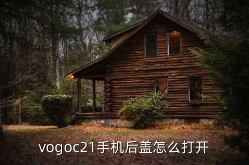 vogoc21手机后盖怎么打开