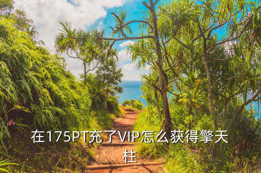 在175PT充了VIP怎么获得擎天柱