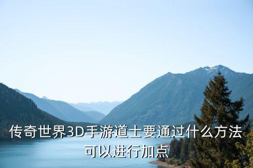 传奇世界3D手游道士要通过什么方法可以进行加点