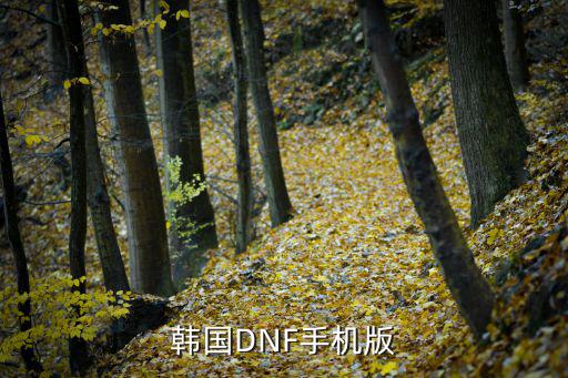 DNF手游韩服团本怎么搜索队伍，韩国DNF手机版