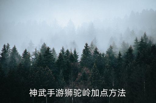 神武手游狮驼岭加点方法