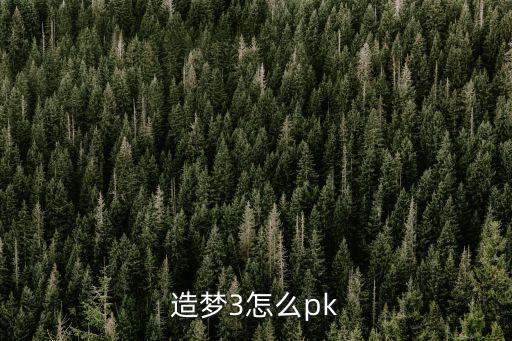 造梦3怎么pk