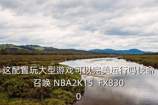 这配置玩大型游戏可以完美运行吗使命召唤 NBA2K15  FX8300