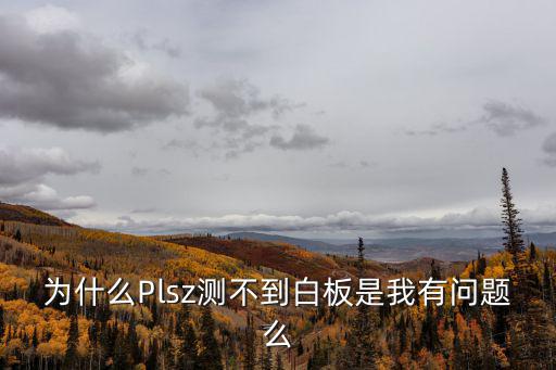 为什么Plsz测不到白板是我有问题么