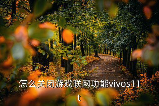 怎么关闭游戏联网功能vivos11t