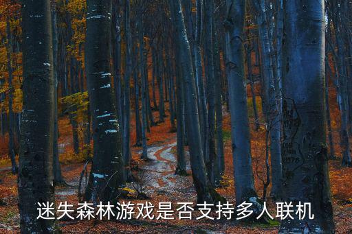 逃脱森林手游怎么联机，steam上的 the forest 森林steam提供联机吗