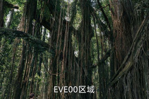 EVE00区域