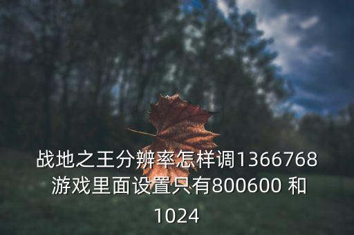 战地之王分辨率怎样调1366768 游戏里面设置只有800600 和1024