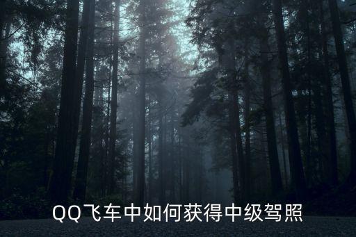 手游飞车怎么激活中级驾照，qq飞车怎样获得中级驾照