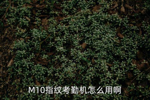 M10指纹考勤机怎么用啊