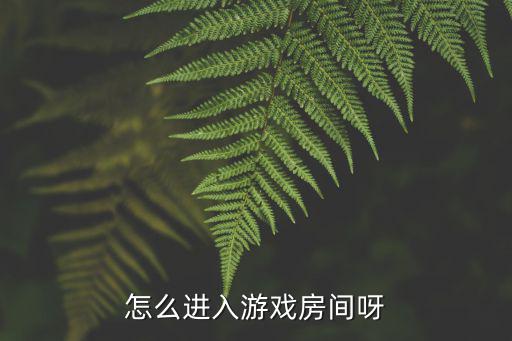 怎么进入游戏房间呀